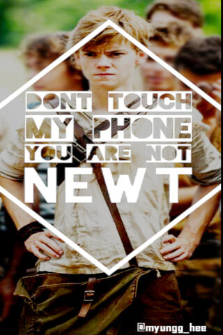 Don't Touch My Phone: The Glade's Guardian 📱🌿