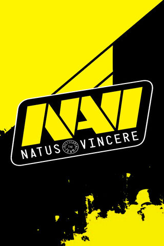 NAVI: The Spirit of Victory! 🎮✨