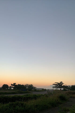 Skuy: Embracing the Twilight