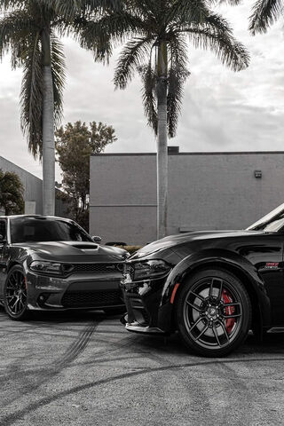 392 HEMI Pair
