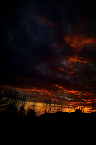 Twilight's Embrace 🌅