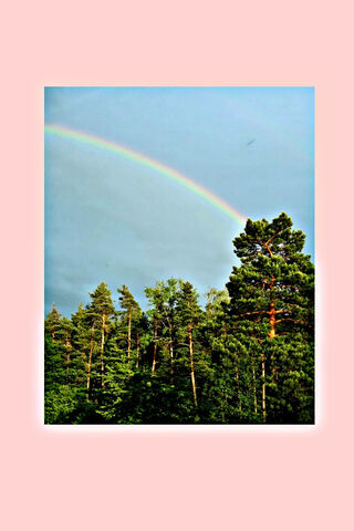 Nature's Colorful Embrace 🌈🌲