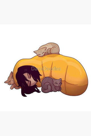 Cozy Cat Nap with Aizawa 💤🐾