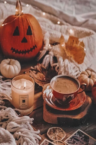 Cozy Autumn Vibes 🍂🎃