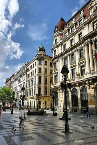 Charming Streets of Beograd 🌆✨
