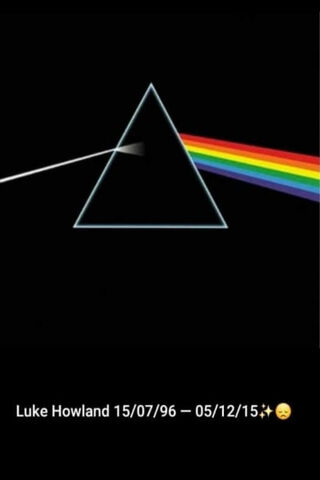 Dreams in Color: A Tribute to Luke