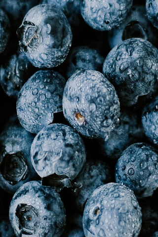 Berry Bliss: The Juicy World of Blueberries 🍇✨