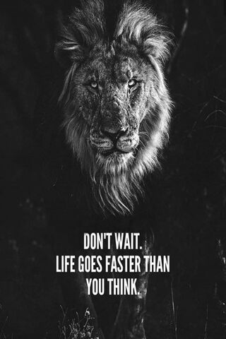 Dont Wait