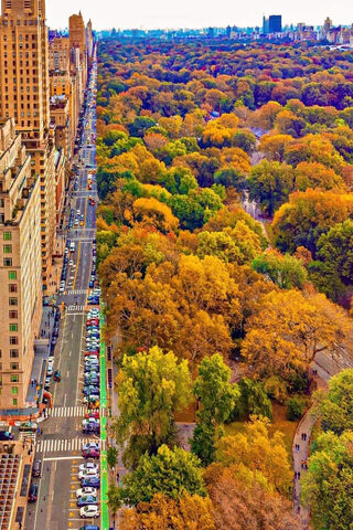 Autumn Vibes in the City 🌆🍂