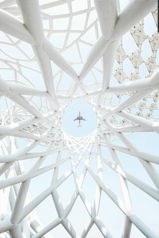 Soaring Through the Web of Dreams ✈️✨