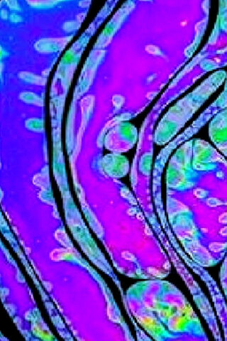 Dancing Colors: The Art of Fluidity 🌈✨