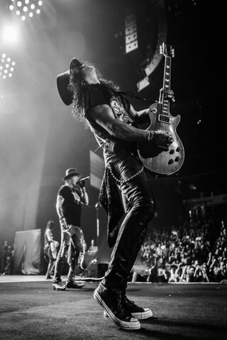 Rock Legends in Action 🎸🔥