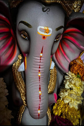 Divine Blessings: The Grace of Ganesha 🐘✨