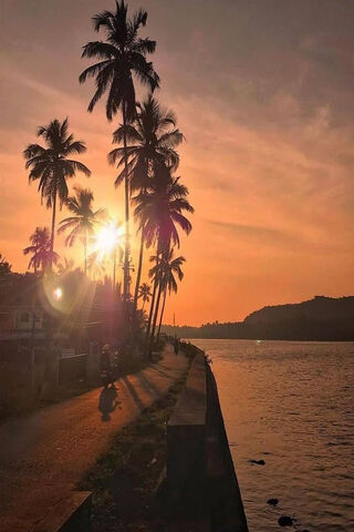 Sunset Serenity in Goa 🌅🌴