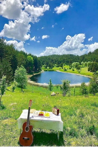 Serene Green Retreat: A Perfect Camping Day 🌲🎶