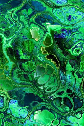 Emerald Waves of Nature