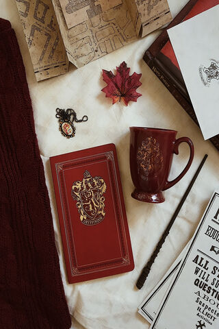 Gryffindor Vibes: A Cozy Magical Retreat 🦁✨