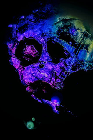 Mysteries of the Human Skull: A Colorful Exploration