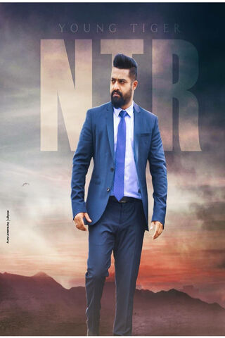 Young Tiger: The Rise o..