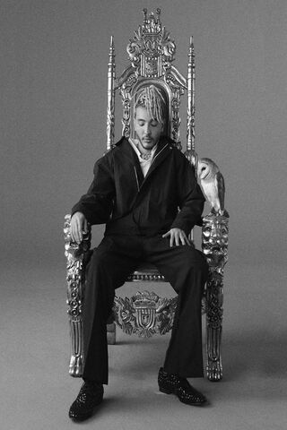 Japa: The Throne of Dreams 🦉👑
