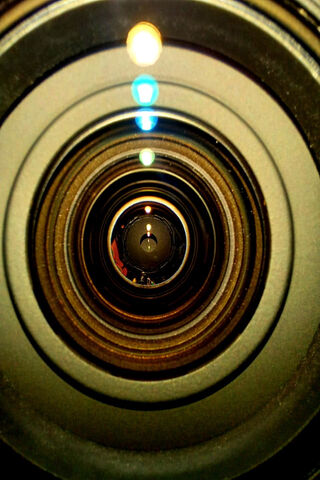 Through the Lens: A Journey into Focus 📷✨