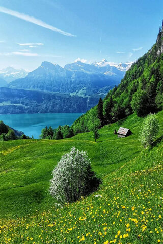 Serenity in the Swiss Alps 🌄🌿