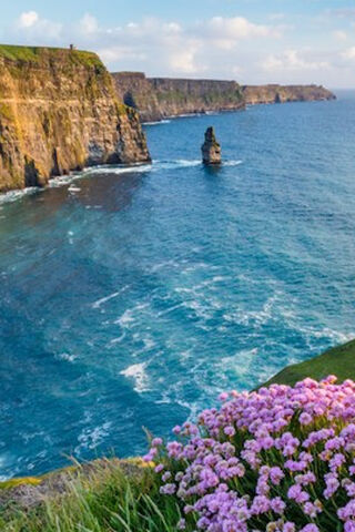 Moher