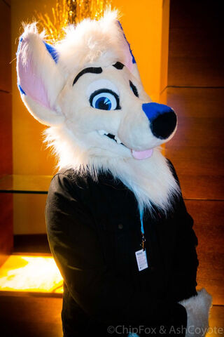 Marks Barks: The Furry Friend in Focus! 🐾✨