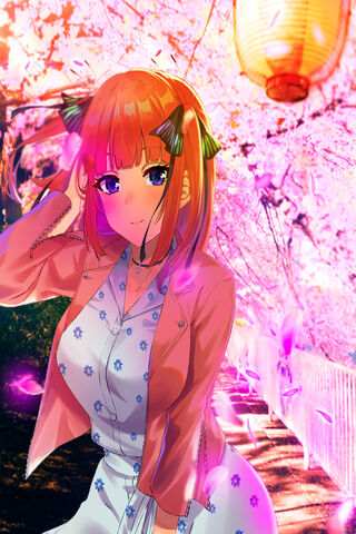 Nino Cherry Blossoms in Bloom 🌸✨