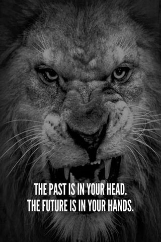 Embrace Your Journey: The Power of Reflection 🦁✨
