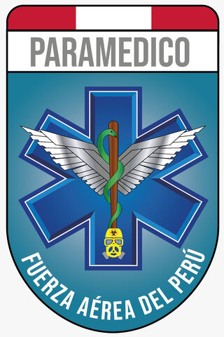 Caring Heroes: The Paramedic FAP Emblem