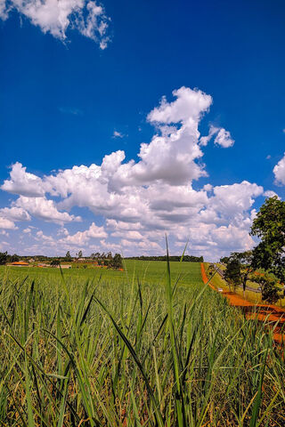 Nature's Embrace: The Real Sociedad Experience 🌿☁️