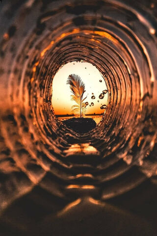 Nature's Reflection: A Serene Escape 🌅✨