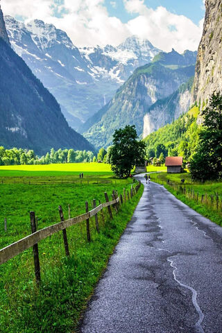 Serenity in the Swiss Alps 🌄