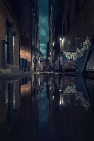 Whispers of the Alley: A Sokak Story