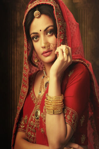 Elegance in Tradition: A Portrait of Grace