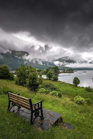 Whispering Nature's Secrets 🌫️🌿