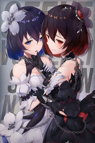 Duality of Seele: Light and Shadow 🌸🌑