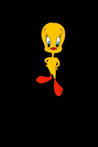 Tweety Bird