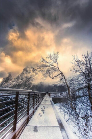 Nature's Majestic Pathway 🌄❄️
