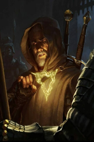 The Witcher: Shadows of Destiny