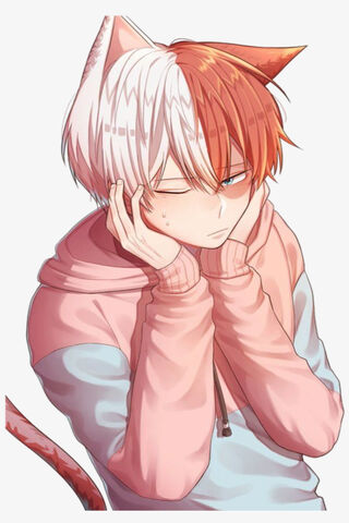 Todoroki's Feline Daydr..