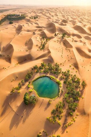 Oasis of Serenity: Nature's Hidden Gem 🌴💧