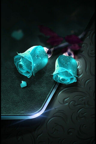 Aqua Magenta: A Dreamy Floral Fantasy 🌊🌸