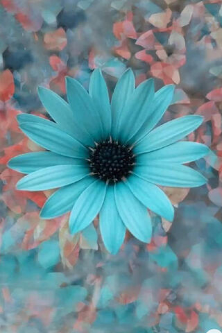 Aqua Petal Bliss 🌊🌼