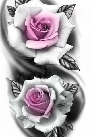 Whispers of Pink Elegance 🌸✨