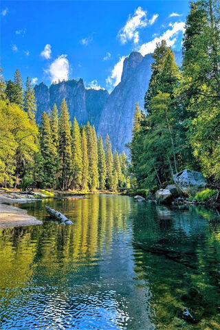 Serenity in Yosemite Valley 🌲🏞️
