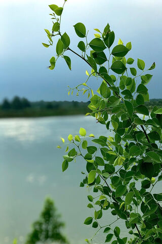 Serenity by the Water: Albanian Nature