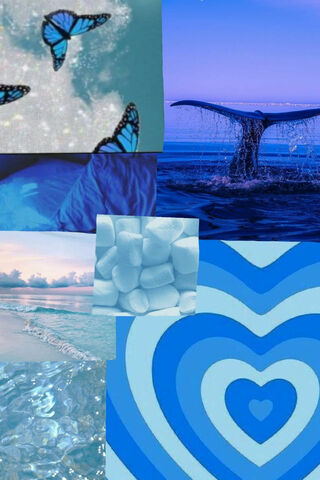 Serenity in Shades of Blue 🌊🦋