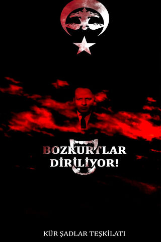 Awakening of the Bozkurtlar